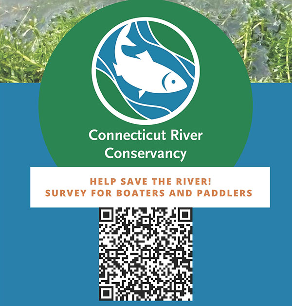 Hydrilla-Survey-for-Boaters